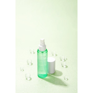 MEDIPEEL Dutch Tea Mattifying Mist Тонер-мист с экстрактом чайного дерева (100ml)